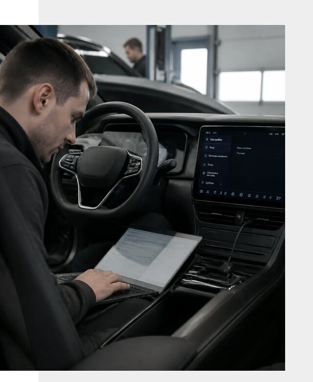 Русификация автомобилей BYD под ключ для всех моделей в Сегеже