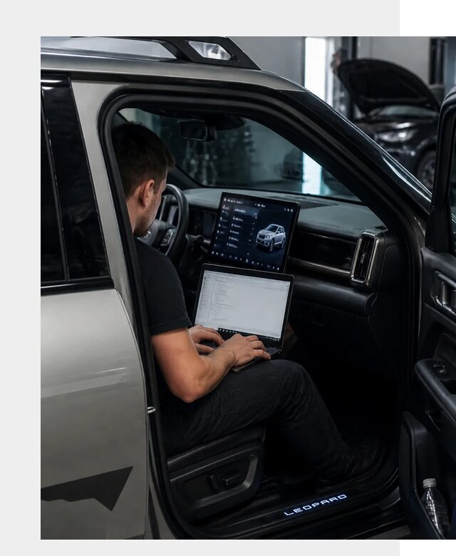 Русификация BYD Leopard 3 в Сегеже по цене от 20706 р. | ФастМобиль-Сгж